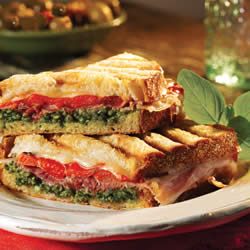 Panini Sandwich Recipes