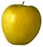 Golden Delicious apple