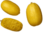 spaghetti squash