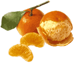 tangerine