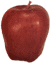 Red Delicious apple