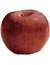 Winesap apple