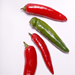 Red and green serrano chilies