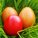 Easter Egg Hunt
