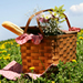 Free Summer Cookbook!