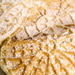 Pizzelles II