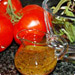 Vinaigrette