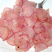 Grilled Radishes Recipes
