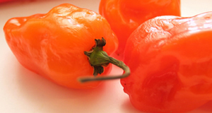 Choosing Chile Peppers