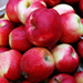 Macintosh apples