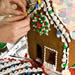Decorating a Gingerbread House
