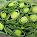 Leeks