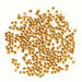 Whole coriander