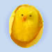 Chick Eggs