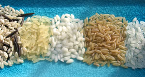 How to Cook Rice