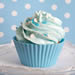 Crazy for Cupcakes