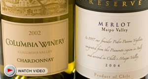 How to Read a Wine Label (Video)