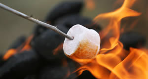 Best Camping Recipes