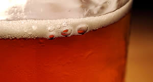 Beer 101