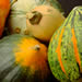 Assorted winter squash