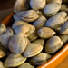 Clams