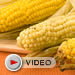 Grilled Corn on the Cob