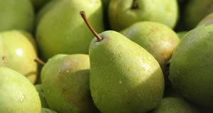 Pear Recipes