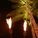 Hawaiian Luau Party Recipes
