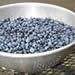 Wild Maine blueberries