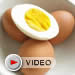 Hard-cooked egg