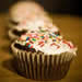 Dark Chocolate Cake I, made into cupcakes