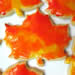 The Best Rolled Sugar Cookies, decorated with Egg Paint