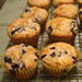 Blueberry Streusel Muffins (without streusel)