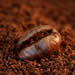 Whole coffee bean & ground coffee