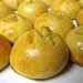 Knishes
