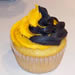Decorator Frosting I