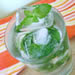 Mint Ice Cubes