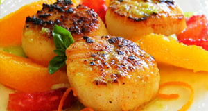 Best Shellfish Recipes