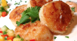 Best Recipes for Scallops