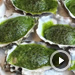 Oysters Rockefeller (Video)