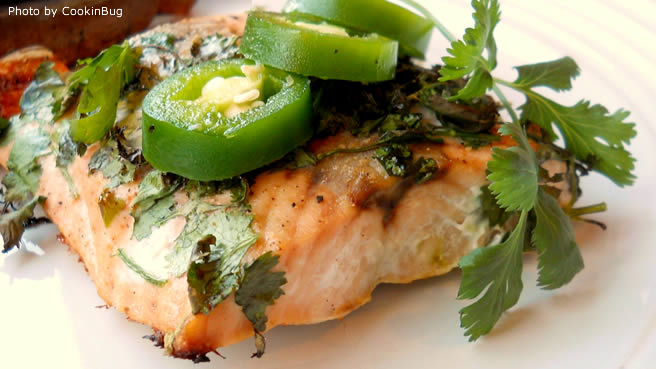 Grilled Salmon with Cilantro Sauce