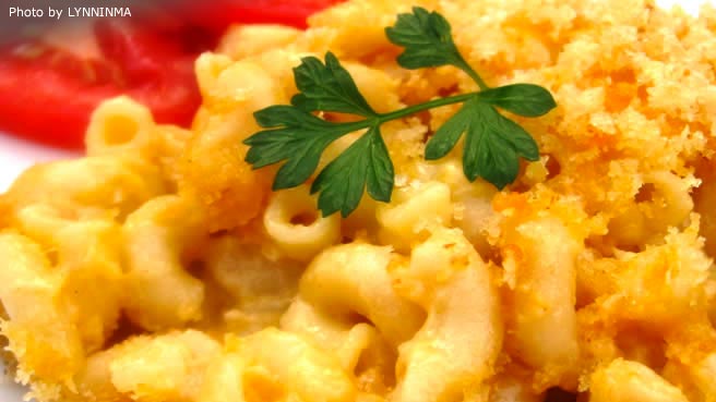 easy macaroni and cheese easy macaroni and cheese