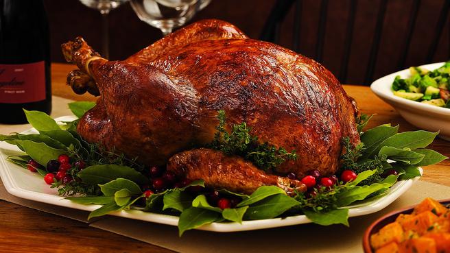 27+ Thanksgiving Turkey Pictures PNG