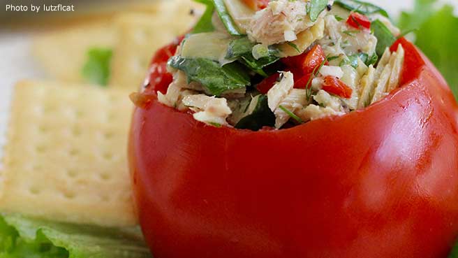 cold tuna salad recipes