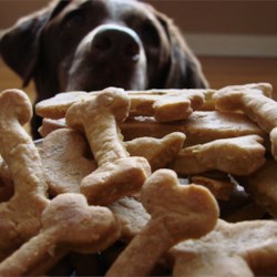 Image of Doggie Biscuits I, AllRecipes