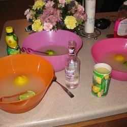 Image of Lemon Gin Slush, AllRecipes
