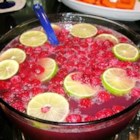 Champagne Punch III Recipe