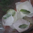 Mint Ice Cubes Recipe