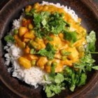 Vegetarian Korma Recipe