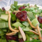 Yummy Bok Choy Salad Recipe